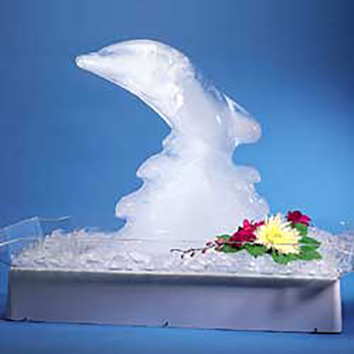 Light Box for Ice Mold